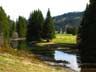 Mountain-Stream