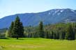 Green-Golf-Course